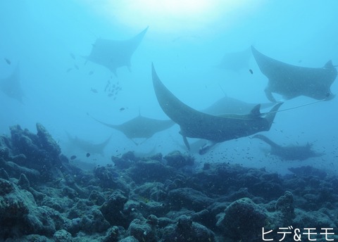 104D09F3-05D8-4FAA-AEAB-82322203552D