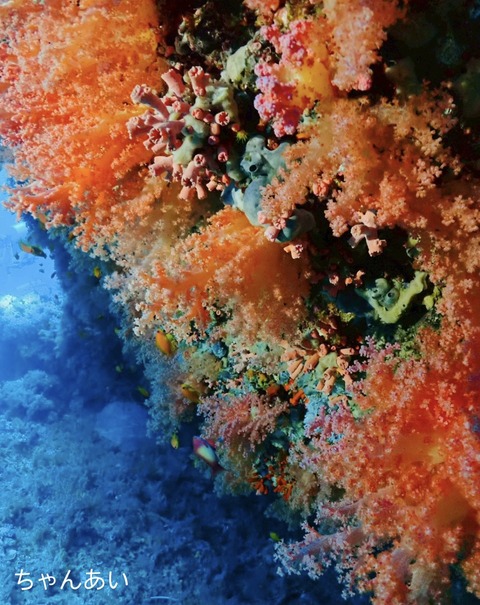 EFB2E1DD-DFF3-4494-B4A0-5E3A95561CD8