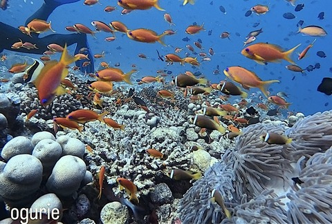 1C409DD1-E80E-4C62-960B-5D903569476F