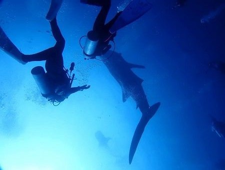 40012755_1465057823638898_7792115052076597248_n