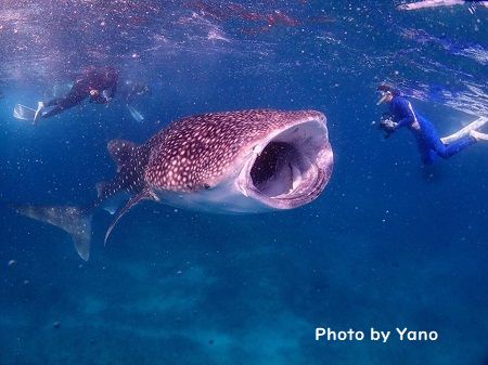 48171347_359674627926934_3247152067852107776_n