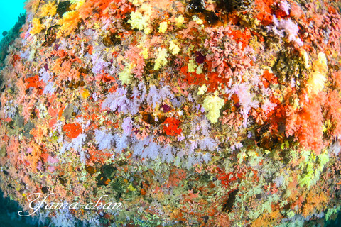 240815_110402-453966