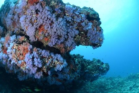 38923466_2133380193583310_6808674829575651328_n