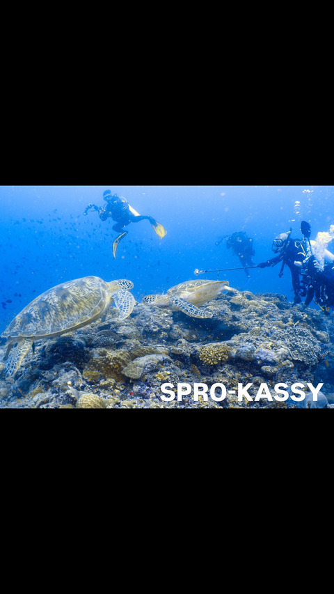 9F45E7D2-FE4F-4D9E-AEF4-3808DD48B202