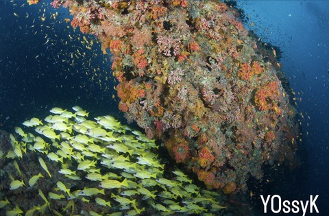 B983F870-B91F-4312-A1FA-4ABFAF8B6B63