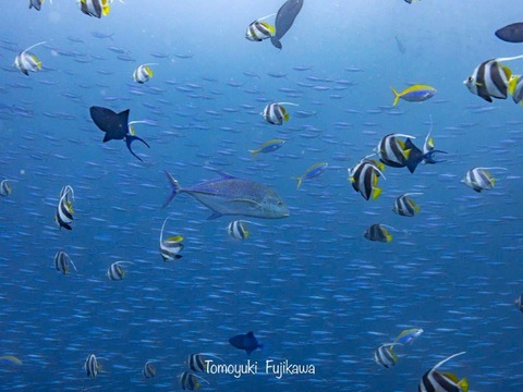 375969179_6583276861766570_7003112557129780807_n