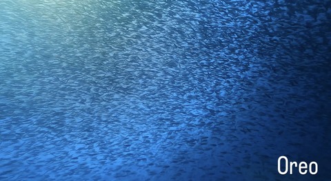 4CF6362F-B7F6-4D4D-884D-7A8603119427