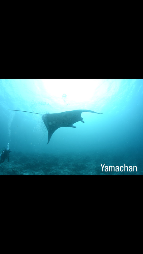 9DD450FD-B7D2-4F64-B72B-574E3CD00B78