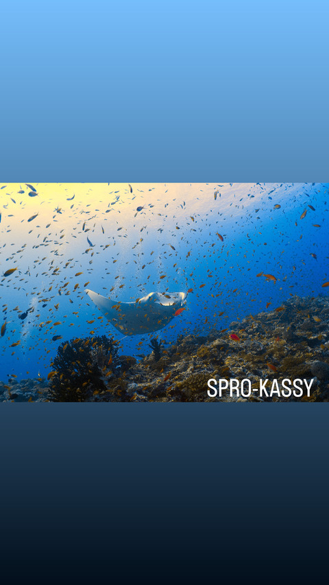 EB86F584-8C5F-4C38-81B8-E6B0495DB5A9