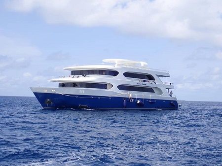 40034276_1465056703639010_9144186089890643968_n