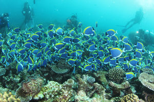 c0183713_21113425 (1)