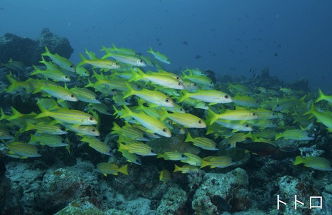 0007624F-5B41-4BFB-82CE-F0C0A080AD8A