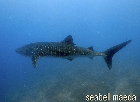 635A9169-C358-43E8-AF05-D412982E7C23