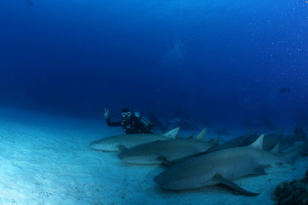 ひろ子さん・ナース