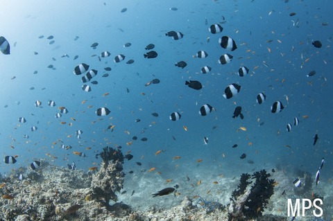 B7702249-C1F8-42E5-A95F-F8139691878A