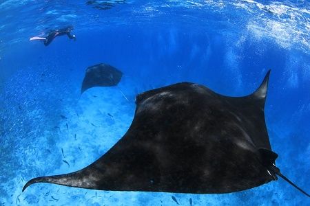 39834891_1842535782506351_7054924219691302912_n