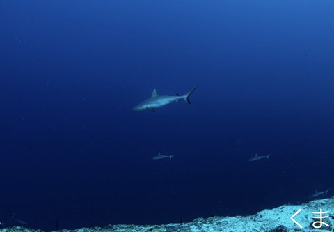 0DABD851-B7C0-4477-A495-1EB50A87EFB0