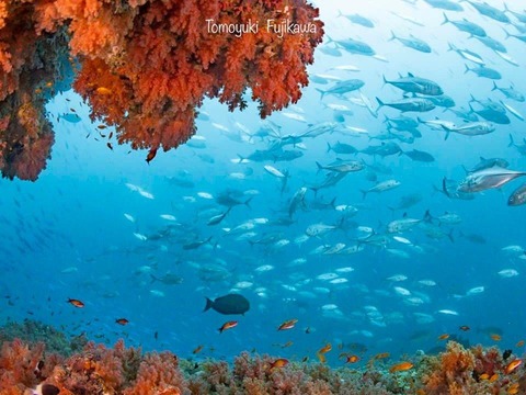 375821310_6583275128433410_8382891553110298957_n