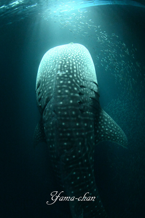 240812_061234-519402