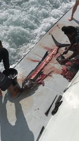 46491708_2095720290518163_1227365507028484096_n