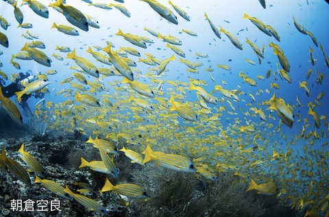 B1E13FA7-94F5-43DF-9763-902C8B2FAF3A