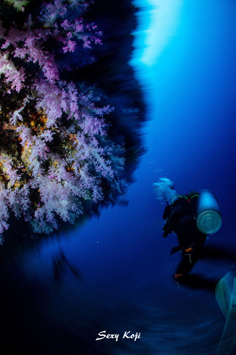 403632748_313140034887795_7326338218352705431_n