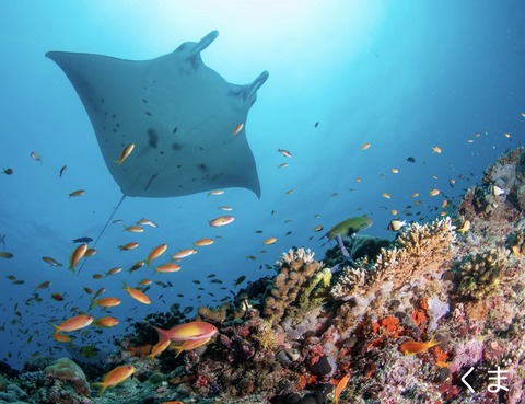 0ECEB57D-BB1A-4CCA-9248-8155EC1D01AC