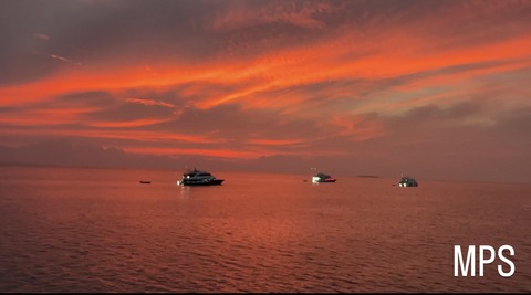 EC783909-5888-41AB-94AD-5816E77B789C