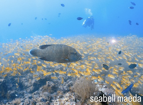 273F76F5-68EA-43F1-BCA2-8BA6B31D9B3F