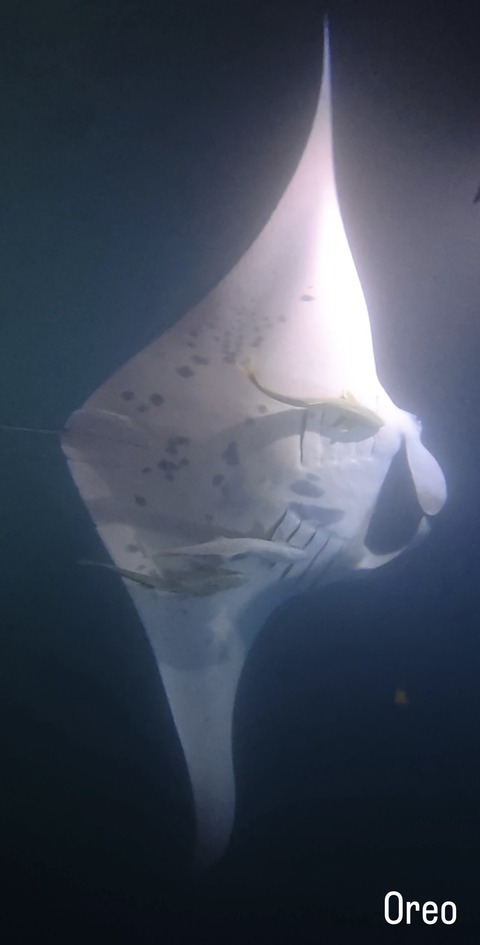 CB44CBE9-D1AC-421E-8B04-C1EA34C3C5D5