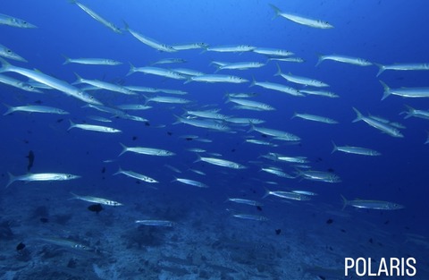 F8D6E06F-A130-4206-8F76-2EBC128C1075