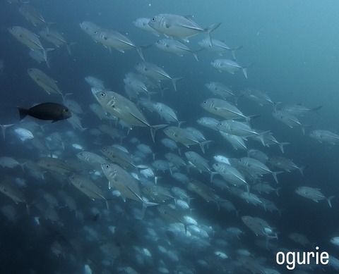 814B6C66-6FB7-4D95-9CA3-1EBF86FCF849