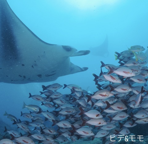 A849B8F4-C087-444F-8BD3-553408809B7C