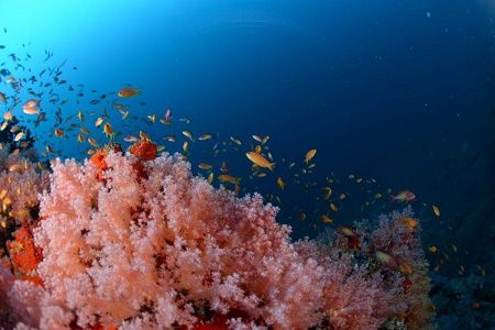 38898958_2133380113583318_7134564806123585536_n