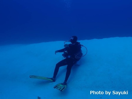 44209149_1293034677502208_5634219522882797568_n