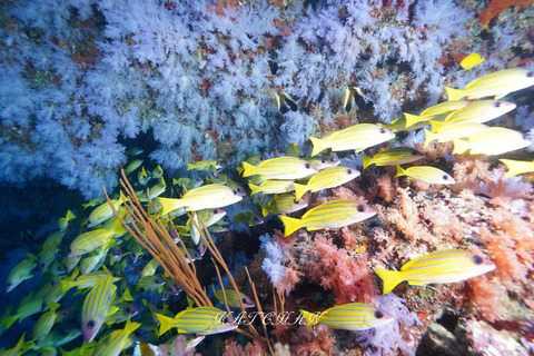 406401335_6917942938299959_7766029364434046259_n