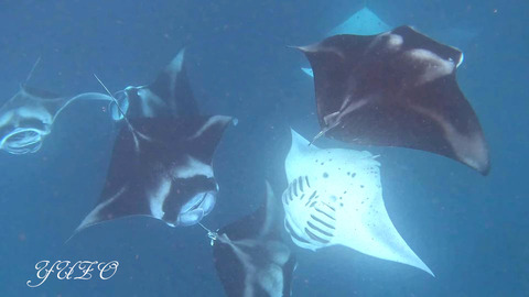 386704883_6687425688018353_4058923609621358867_n