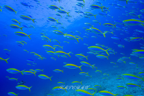 406838702_6917943318299921_2332321767859161543_n