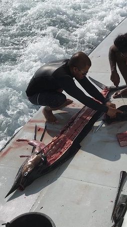 46449324_2019773624732320_9121937222994493440_n