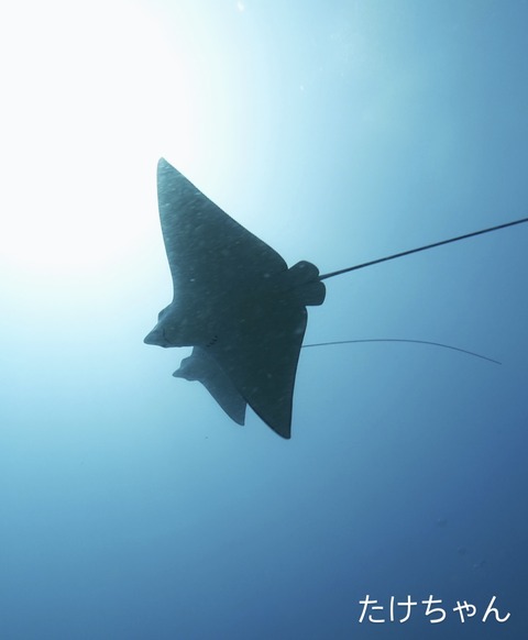 D0F60476-807A-4671-B2BB-D90E43C9FF79