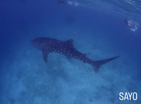 B9C870D0-4935-4329-BE8C-0BE9BDAC2777