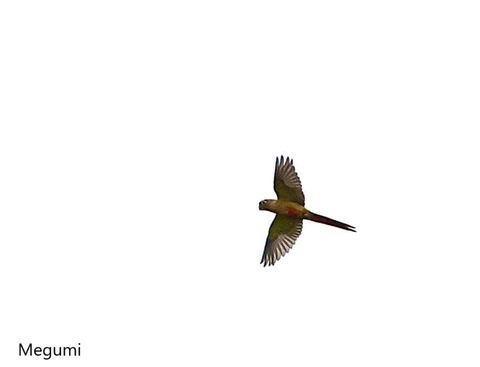 375806519_6583427908418132_3453301533909147655_n