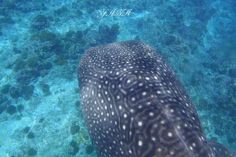 371500379_643646741266707_3402886168876585856_n