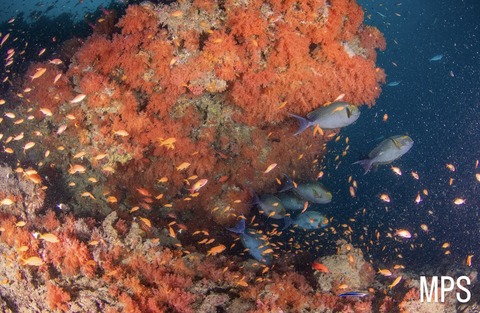 59E00905-1EB5-4272-A5BA-C968244556C4