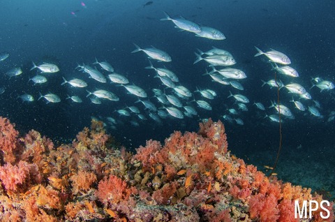 DB8D5740-7C00-48D0-83CD-C0FD68605AD9