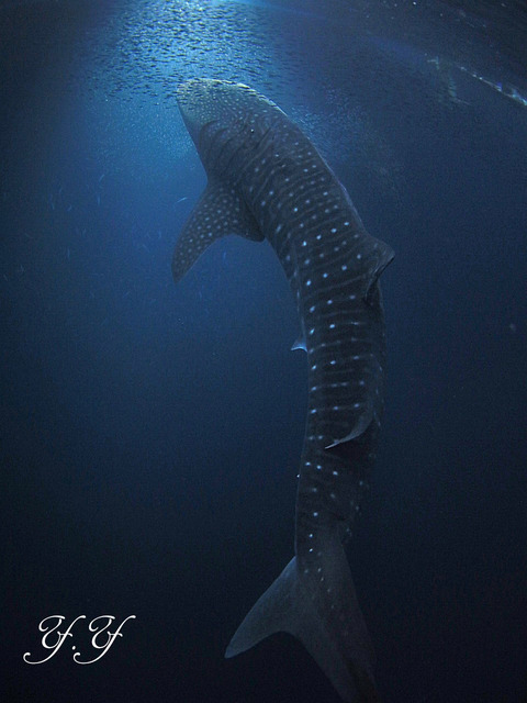 7EA5DD4C-5956-45D2-B09E-93E89B0447BE