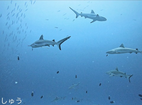 FEBF816E-FE1B-4B06-9971-1DF12CC5E863