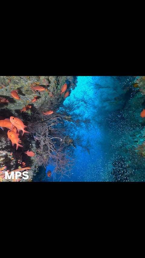 E9E4551A-9BEC-4E52-9990-9E9600E47026