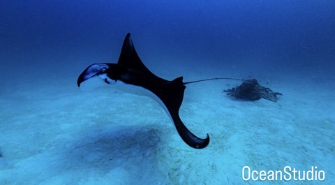 E3515D18-0399-4CF4-8BCB-60DAC1345B2B