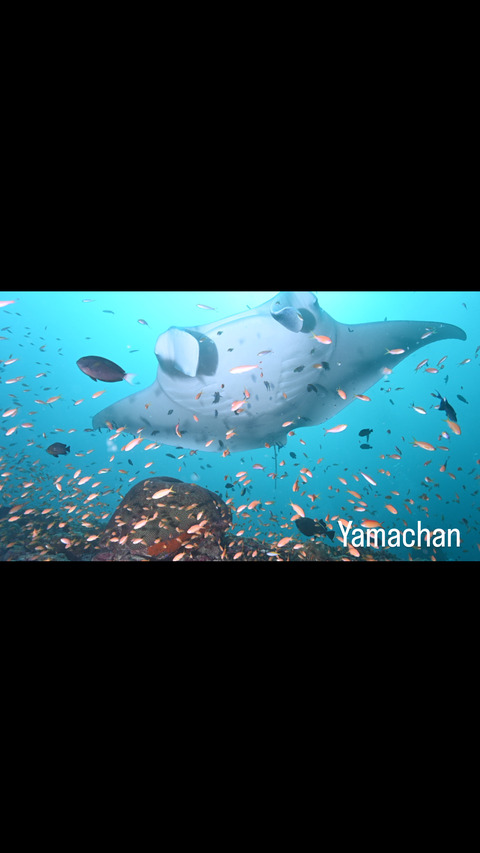 2DBD2778-2BA2-48BB-ABC8-DBEA3CDE1FF2